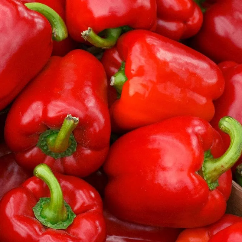 Big Red Sweet Bell Pepper Seeds - Non-GMO, Open-Pollinated Vegetable Seeds - Image 1