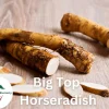 Big Top Horseradish Root - 1 Live Bare Root Perennial Plant for Culinary Use - Image 1
