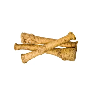 Big Top Horseradish Root - Hardy Perennial Bare Root Plant, 20 Count - Image 3