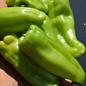 Biscayne Red Sweet Pepper Seeds - 500 Count - Vegetable Seeds for Outdoor Gardening - Image 2