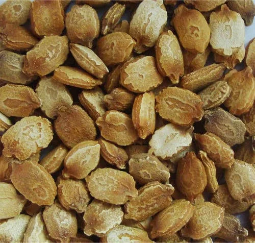 Bitter Gourd Seeds F1 Non-GMO - Vietnam Long Fruit Bitter Melon Seeds - Image 3
