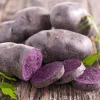 Blue Adirondack Seed Potatoes - USDA Certified, Purple, 500g for Planting - Image 1