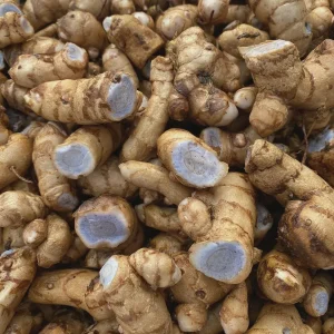 Blue Turmeric Rhizomes for Planting - Fresh Live Root for Growing - Image 3
