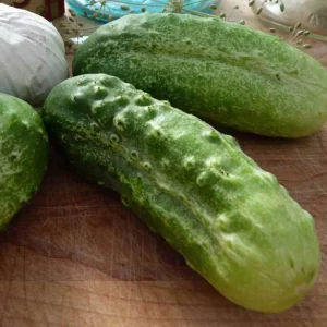 Boston Pickling Cucumber Seeds - Non-GMO Heirloom Vegetable Seeds - Image 1
