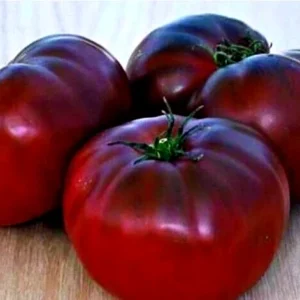 Brandywine Heirloom Tomato Seeds Organic - Black, Red, Orange, Pink - 25 Seeds - Image 2