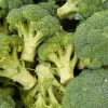 Broccoli Calabrese Green Sprouting Seeds - 30 Seed Pack - Vegetable Gardening - Image 1