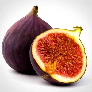 Brown Turkey Fig Live Plant – Edible Fruit Bearing Tree – 4-6 inch Tall - Image 2