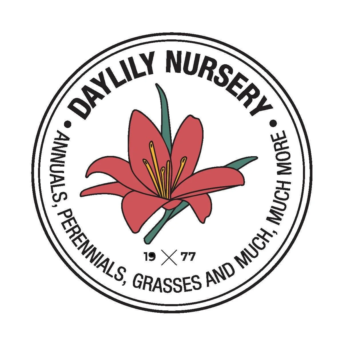 Bulk Parade Tulip Bulbs - Triumph Tulipa - Approx. 450 Scarlet-Red Bulbs - Image 4