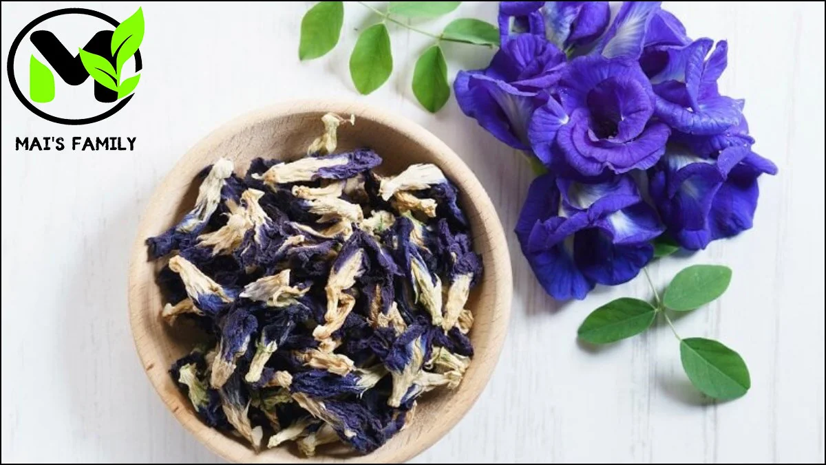 Butterfly Pea Seeds - Organic Clitoria Ternatea Blue Flower Seeds - Image 2