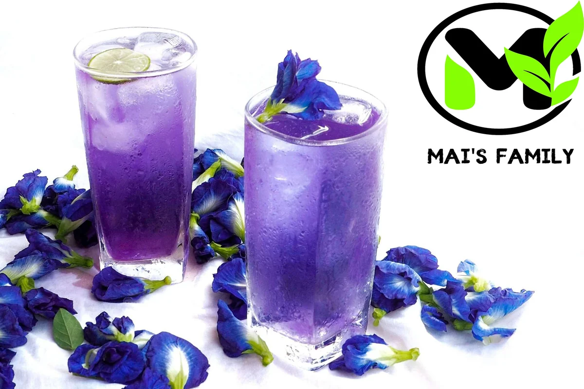 Butterfly Pea Seeds - Organic Clitoria Ternatea Blue Flower Seeds - Image 3