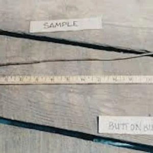 Buttonbush Plant 12-24in Tall Bare Root Shrub - Cephalanthus occidentalis - Image 2