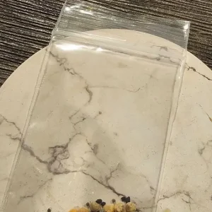 Cactus Seed Mix - DIY Cacti Garden Kit - Min. 25 Seeds - Image 3