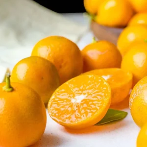 Calamondin Citrus Tree Live Plant - 3 Gallon, 2-3 ft Tall - Dwarf Fruit Tree - Image 1