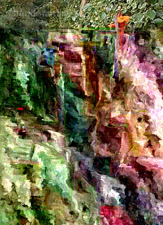 Canna Lily Bulb - Red Flowers, Tall Plant, Purple Leaves - Outdoor - Image 2