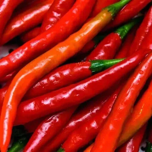 Cayenne Long Thin Pepper Seeds - Non-GMO Vegetable Seeds - Red, Edible, Annual - Image 2