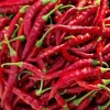 Cayenne Long Thin Pepper Seeds - Non-GMO Vegetable Seeds - Red, Edible, Annual - Image 1