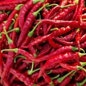 Cayenne Long Thin Pepper Seeds - Non-GMO Vegetable Seeds - Red, Edible, Annual - Image 1