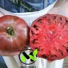 Cherokee Purple Tomato Seeds - Heirloom, NON-GMO, Indeterminate Variety - Image 1