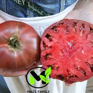 Cherokee Purple Tomato Seeds - Heirloom, NON-GMO, Indeterminate Variety - Image 1