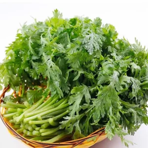 Chrysanthemum Shungiku Seeds - 1000+ Tong Ho Vegetable Seeds for Eating & Yellow Flowers - Image 1