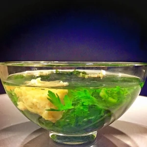 Chrysanthemum Shungiku Seeds - 1000+ Tong Ho Vegetable Seeds for Eating & Yellow Flowers - Image 4