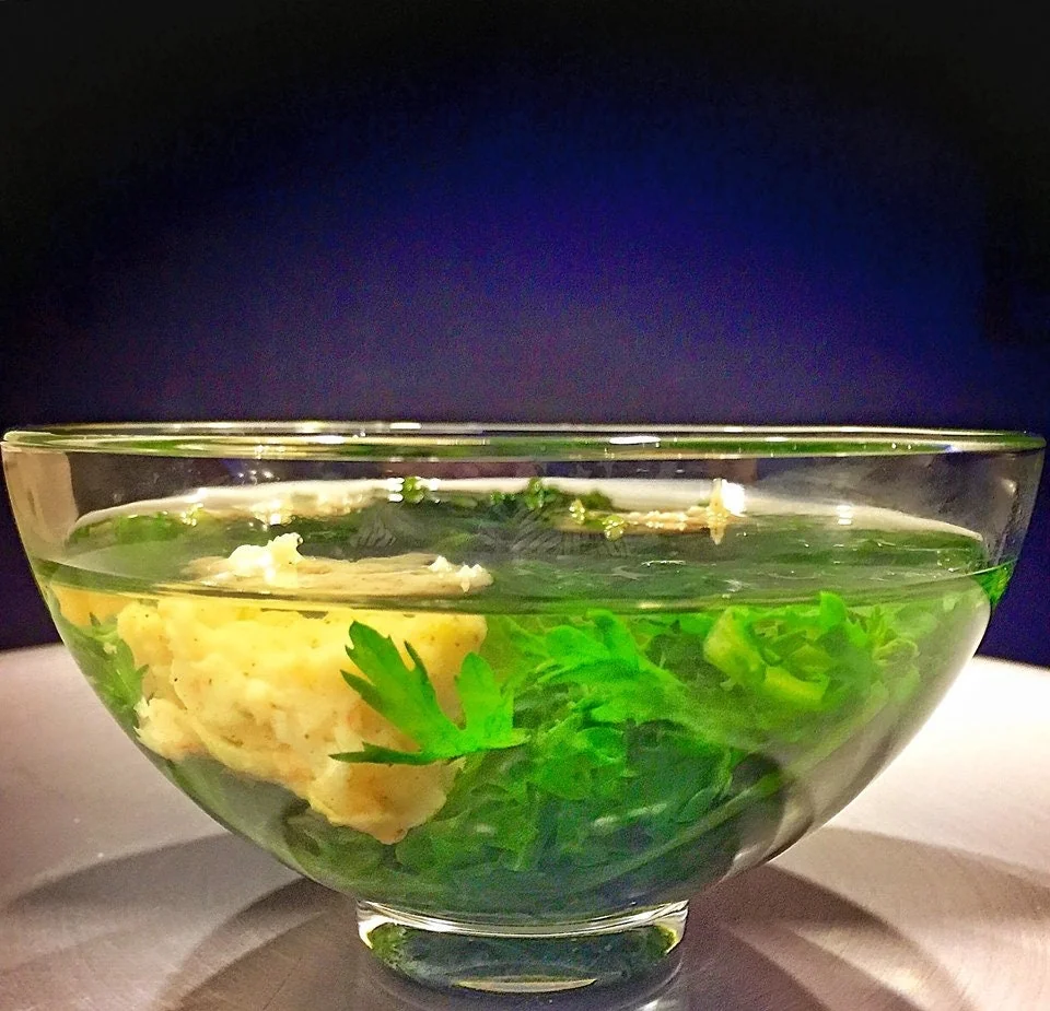 Chrysanthemum Shungiku Seeds - 1000+ Tong Ho Vegetable Seeds for Eating & Yellow Flowers - Image 4