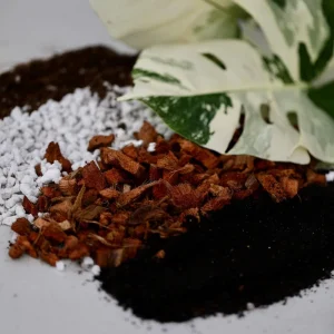 Chunky Aroid Potting Mix - Well-Draining Soil for Monstera & Indoor Plants - Image 2