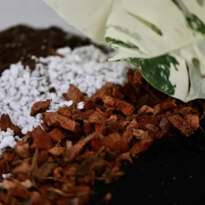 Chunky Aroid Potting Mix – Well-Draining Soil for Monstera & Indoor Plants - Image 2