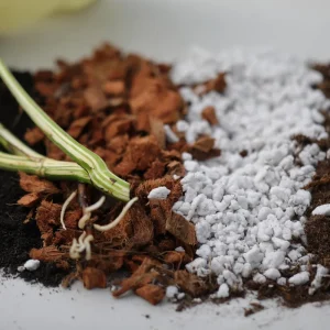 Chunky Aroid Potting Mix - Well-Draining Soil for Monstera & Indoor Plants - Image 3