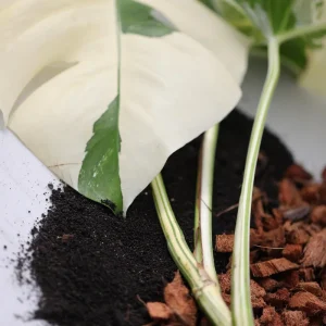 Chunky Aroid Potting Mix – Well-Draining Soil for Monstera & Rare Indoor Plants - Image 6