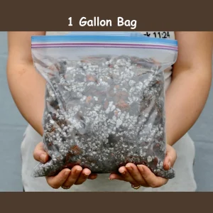 Chunky Aroid Potting Soil Mix for Monstera, Rare Indoor Plants & Cactus - Well Draining - Image 6