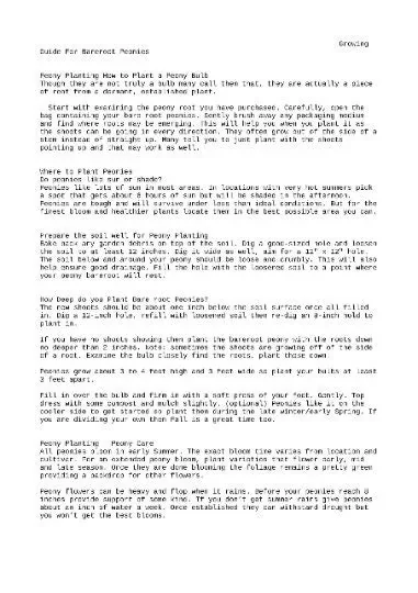 Coral Charm Peony Bare Root Paeonia lactiflora - Early Blooming Coral Peach - Image 3