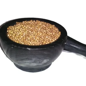 Coriander Seeds - Organic Coriandrum Sativum Seeds for Planting - Image 2