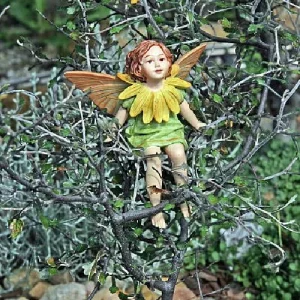 Corokia Ghost Tree Live Plant – 2.5 inch Pot – Indoor/Fairy Garden Plant - Image 2