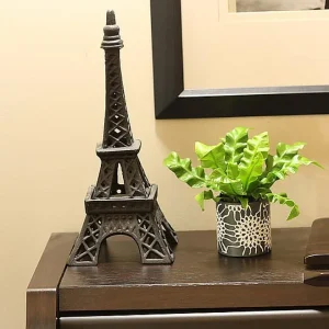 Crispy Wave Fern Live Plant - 2.5