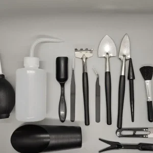 DIY Succulent Arrangement Kit with 3 Live Plants & Glass Bowl - Indoor Terrarium Decor - Image 10