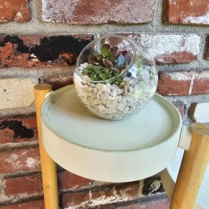DIY Succulent Arrangement Kit with 3 Live Plants & Glass Bowl - Indoor Terrarium Decor - Image 4