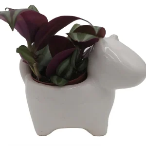 Dog Ceramic Planter with Surprise Terrarium Plant - 3 Inch Pot - Image 1