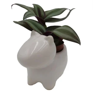 Dog Ceramic Planter with Surprise Terrarium Plant - 3 Inch Pot - Image 4