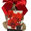 Double Amaryllis Bulb Gift Set - Burgundy Blooms, Easy to Grow, 28/30cm Bulb - Image 1