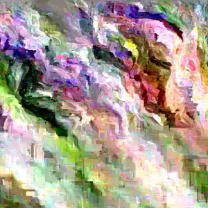 Double Purple/Pink Rose of Sharon Unrooted Cuttings - Set of 10, Outdoor Flowering Shrub - Image 3