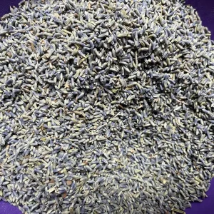 Dried Lavender Buds for Skincare, Home Fragrance & DIY Projects - Image 1