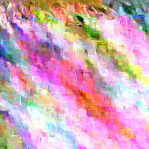 Dwarf Winterberry Holly 'Nana Red Sprite' Live Plant 12-16 Inches Tall, Bare Root, Outdoor - Image 3