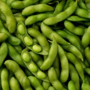 Edamame Soy Bean Seeds - Non-GMO Vegetable Seeds - Fresh & Easy to Grow - Image 3