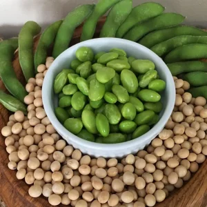 Edamame Soy Bean Seeds - Non-GMO Vegetable Seeds - Fresh & Easy to Grow - Image 4