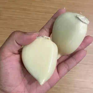 Elephant Garlic Bulbs, Cloves & Seeds - Fresh Harvest for Planting & Cooking - Image 2