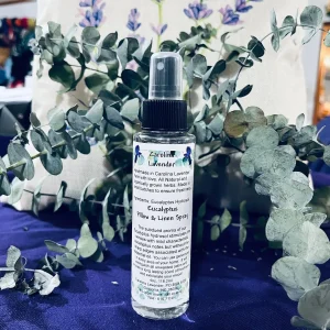 Eucalyptus Hydrosol Spray - Natural Room, Linen & Shower Mist - 4 oz Bottle - Image 2