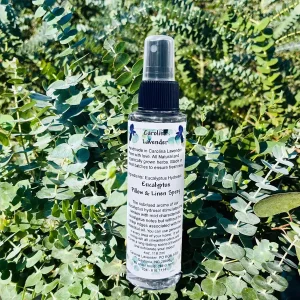 Eucalyptus Hydrosol Spray - Natural Room, Linen & Shower Mist - 4 oz Bottle - Image 3
