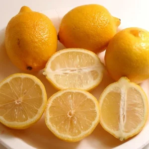 Eureka Lemon Bush Form Live Plant – 5 inch Pot – Indoor/Outdoor Citrus Tree - Image 5