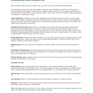 Francee Hosta Bareroot Perennial Plant - Shade Loving, Zones 3-9 - Image 4